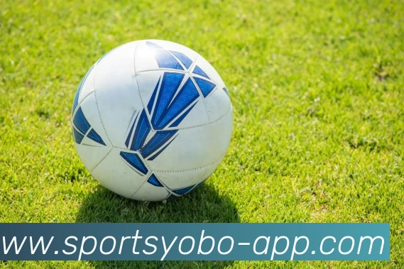 yobo体育发展历程